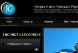 www.china-hydraulic-fittings.com
